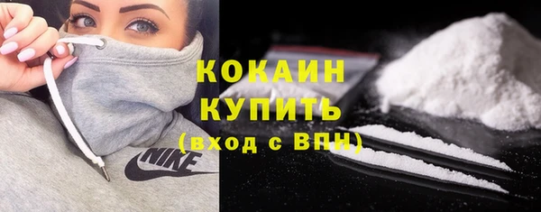 шишки Волоколамск