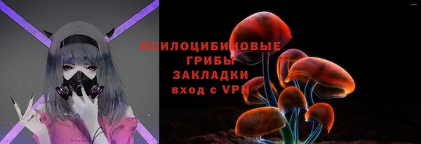 шишки Волоколамск