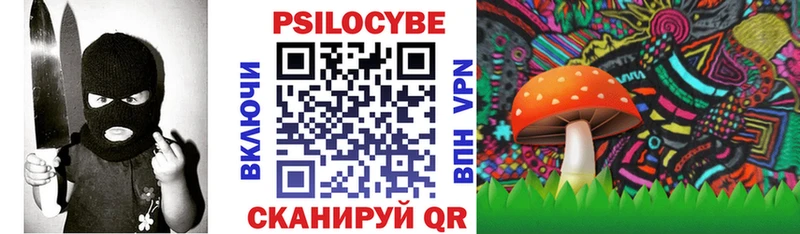 дарнет шоп  Дзержинск  Псилоцибиновые грибы Magic Shrooms 